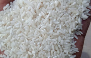 Rice