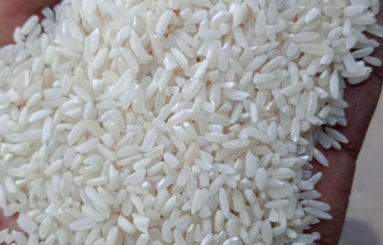 Rice